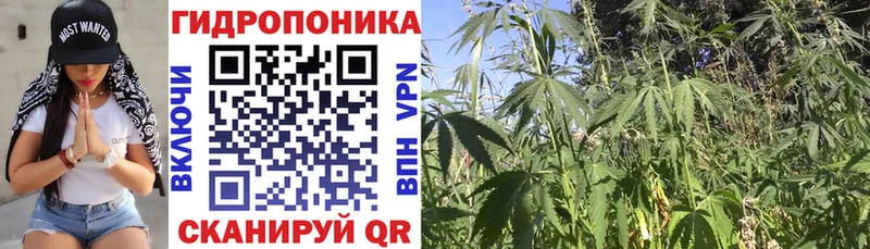 Магазин наркотиков Грязи Cocaine  APVP  Меф 