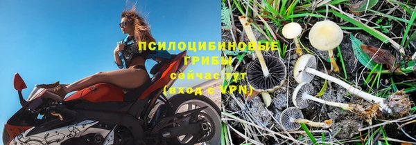 не бодяженный Абдулино