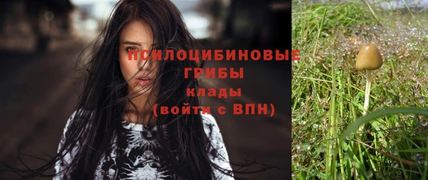 круглые Алексеевка