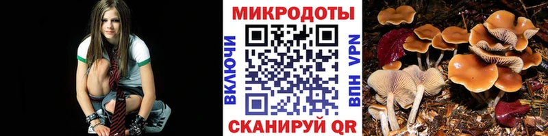 где найти наркотики  Грязи  Галлюциногенные грибы Cubensis 