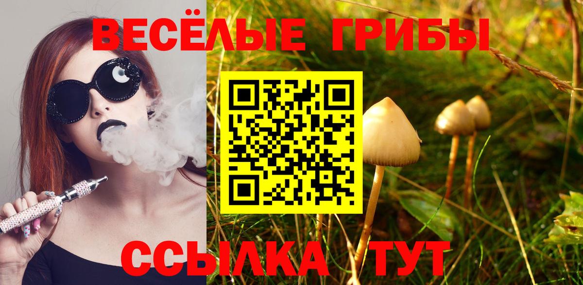 Псилоцибиновые грибы Psilocybine cubensis Грязи