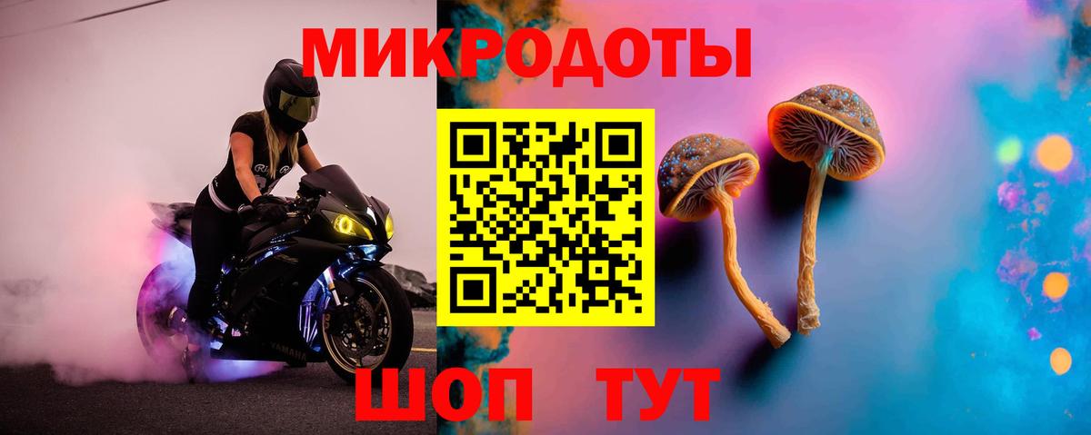 Грязи  Галлюциногенные грибы Psilocybe  Вход с VPN 